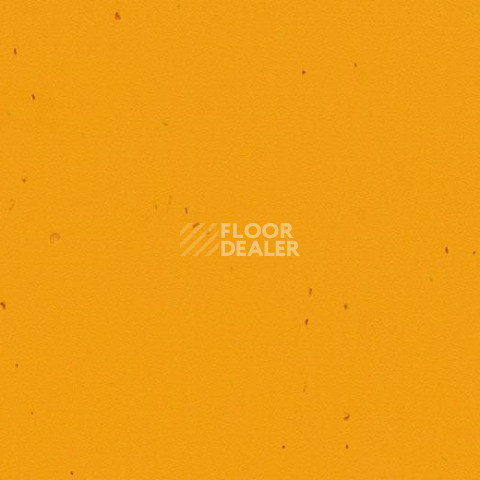 Линолеум Forbo Sphera Energetic 50210 mandarin фото 1 | FLOORDEALER